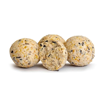 Euro Boilies 16mm/10kg Kokos
