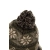 Fox Czapka Festive Bobble